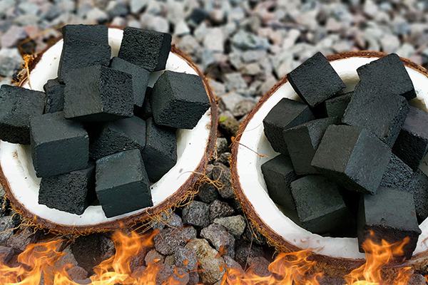 Charcoal coconut anita