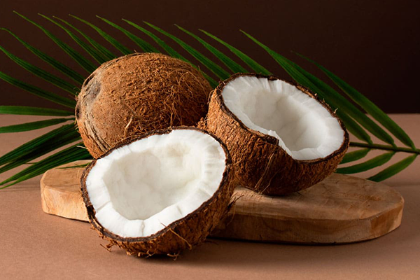 Coconut anita